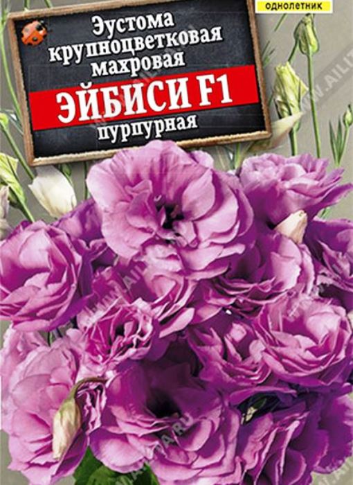 Эустома Эйбиси F1 пурпурная крупноцветковая махровая