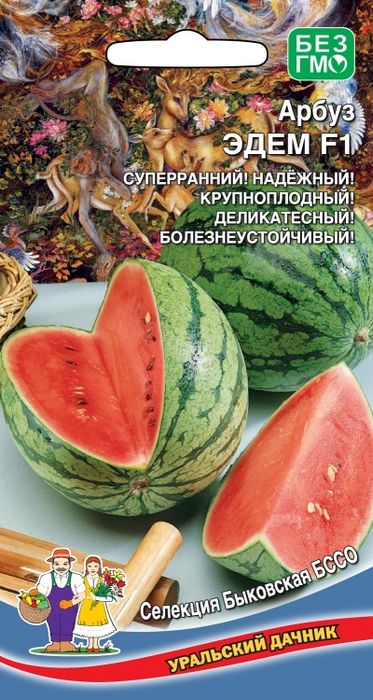 

арбуз эдем f1 семена, арбуз эдем f1 семена купить