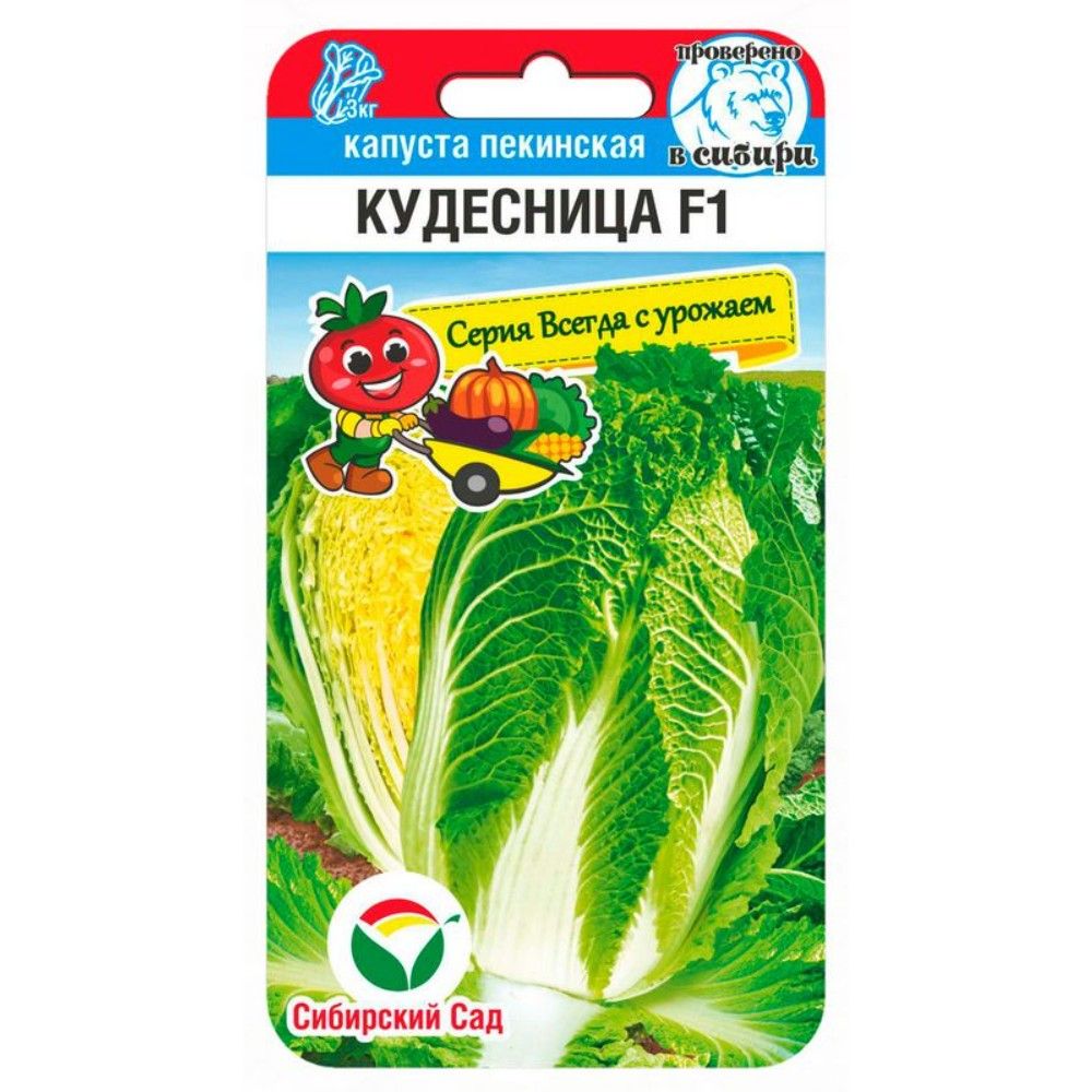 

капуста пекинская кудесница f1 семена, капуста пекинская кудесница f1 семена купить