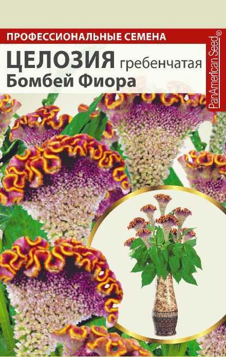 Целозия Бомбей Фиора гребенчатая