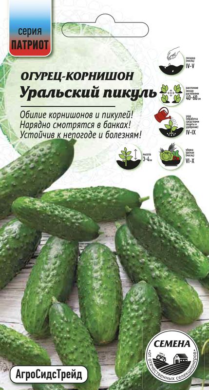 

огурец уральский пикуль семена, огурец уральский пикуль семена купить