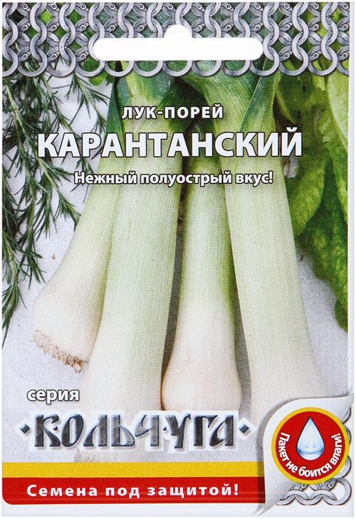

лук порей карантанский "кольчуга new" семена, лук порей карантанский "кольчуга new" семена купить