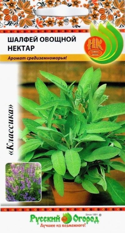 Шалфей Овощной нектар