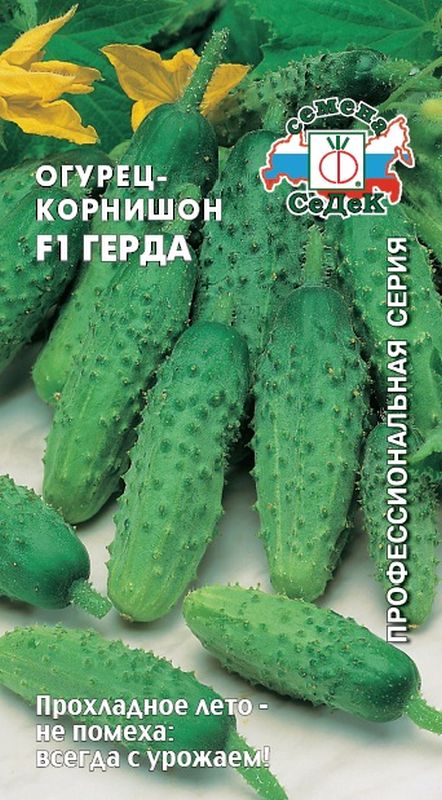 

огурец f1 герда семена, огурец f1 герда семена купить