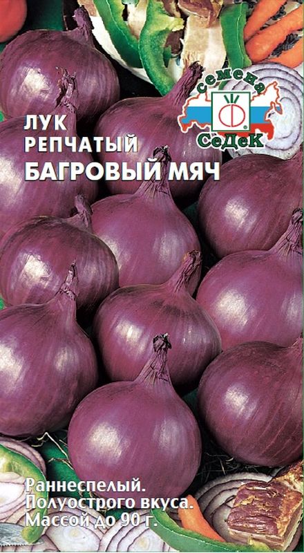 

лук репчатый багровый мяч семена, лук репчатый багровый мяч семена купить