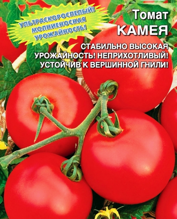Томат Камея