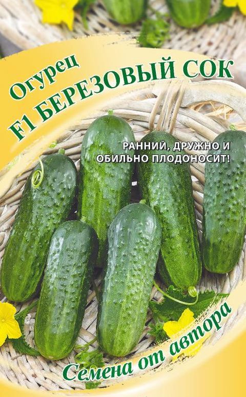 

огурец березовый сок f1 семена, огурец березовый сок f1 семена купить