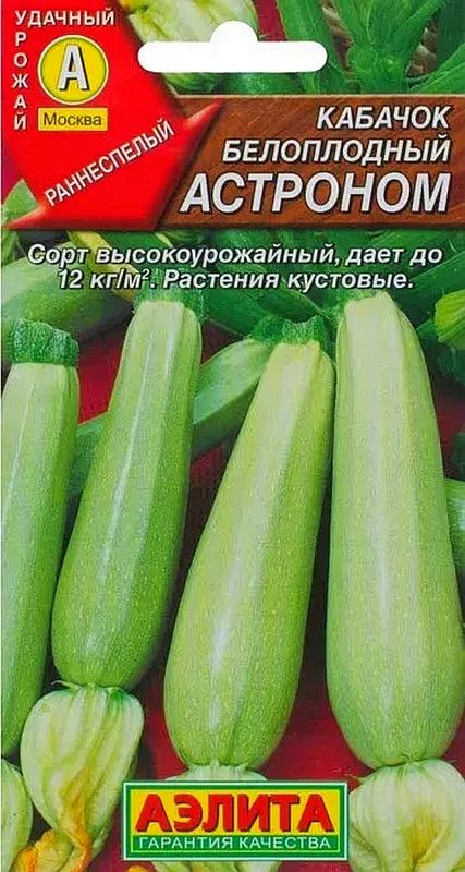 

кабачок белоплодный астроном семена, кабачок белоплодный астроном семена купить