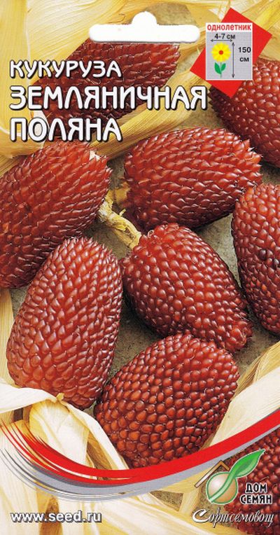 Кукуруза декоративная  Земляничная Поляна