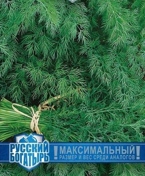 

укроп русский гигант серия русский богатырь семена, укроп русский гигант серия русский богатырь семена купить