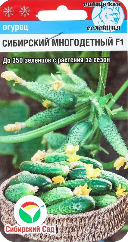 

огурец сибирский многодетный f1 семена, огурец сибирский многодетный f1 семена купить