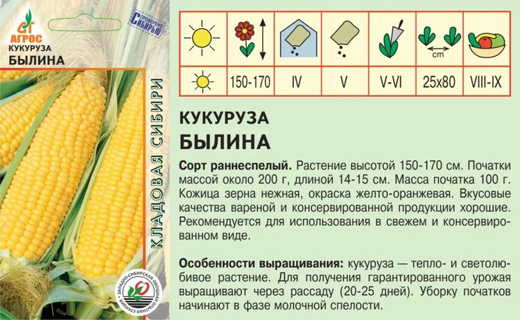 Кукуруза Былина