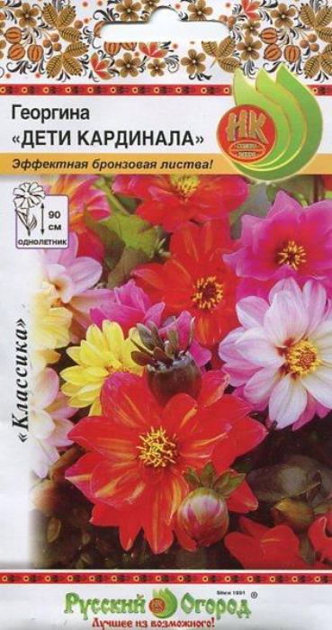 Георгина Дети кардинала, смесь