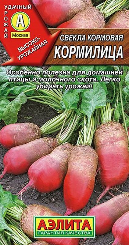 

свекла кормовая кормилица семена, свекла кормовая кормилица семена купить