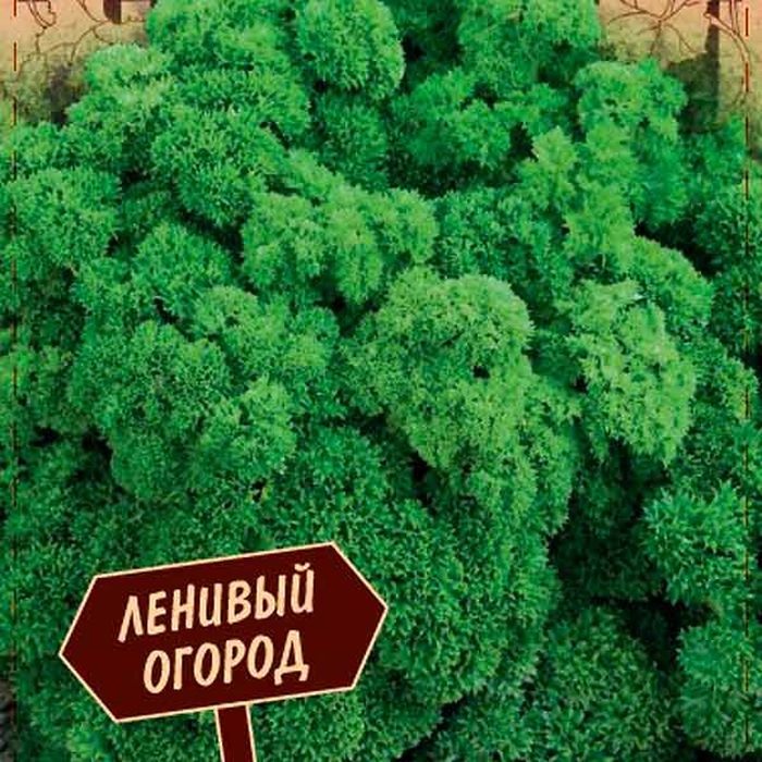 Петрушка листовая Красотка
