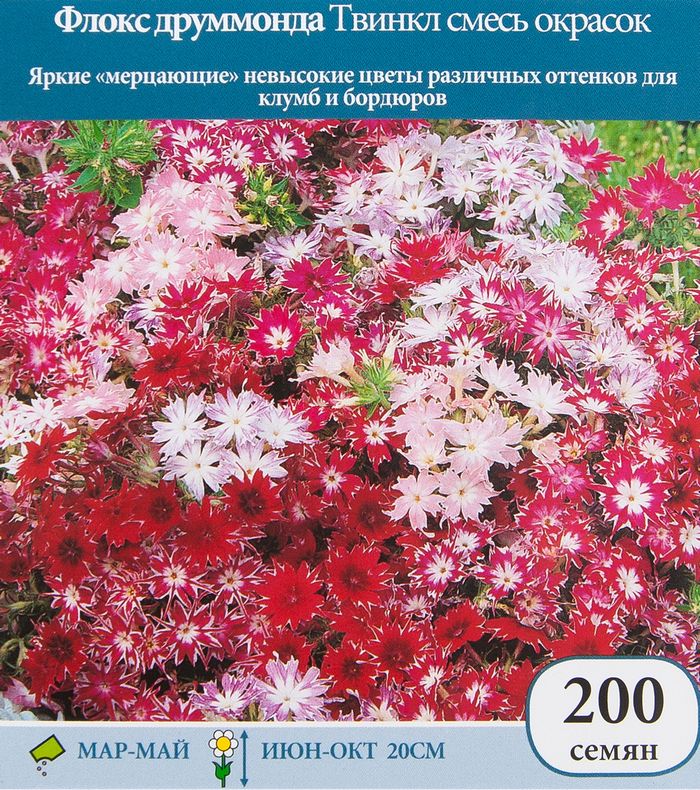 Флокс друммонда Твинкл, смесь окрасок