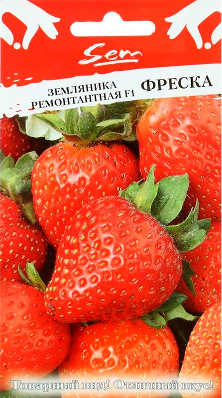 

земляника f1 фреска ремонтантная семена, земляника f1 фреска ремонтантная семена купить