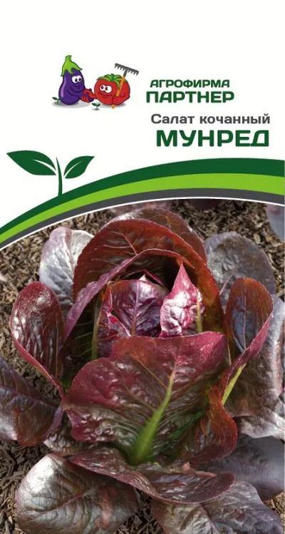 

салат кочанный мунред семена, салат кочанный мунред семена купить