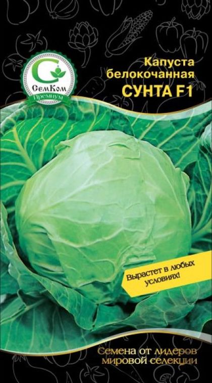 

капуста б/к сунта f1 семена, капуста б/к сунта f1 семена купить