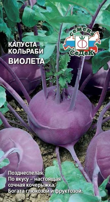 

капуста кольраби виолетта семена, капуста кольраби виолетта семена купить