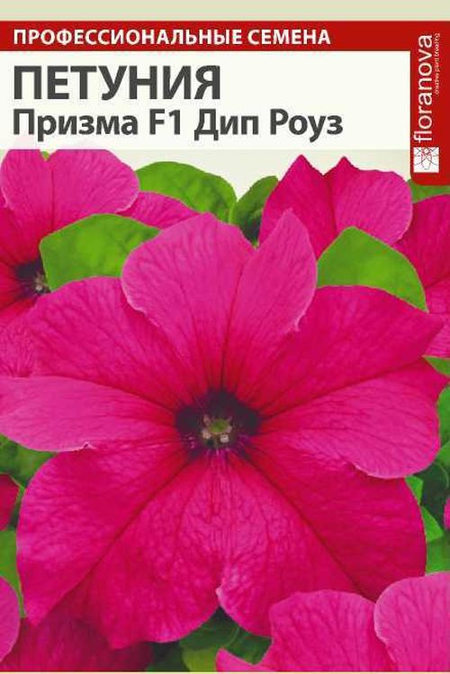 

петуния призма дип роуз f1 семена, петуния призма дип роуз f1 семена купить