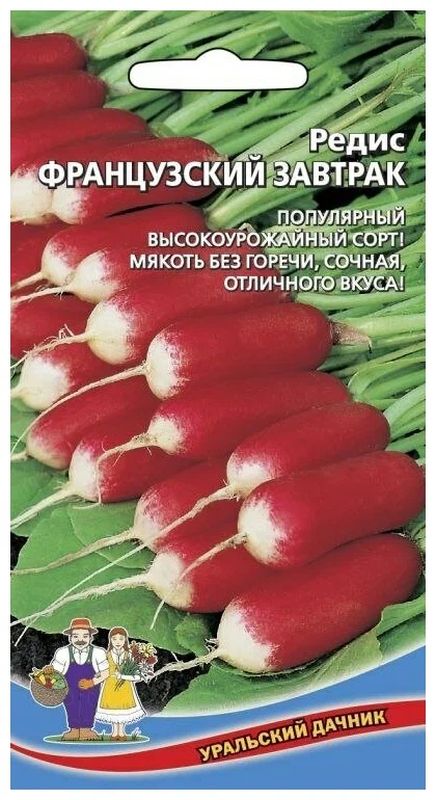 Редис французский завтрак описание сорта фото