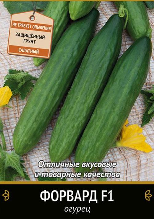 Огурец F1 Форвард