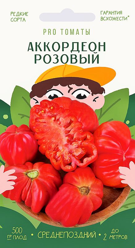 

томат аккордеон розовый семена, томат аккордеон розовый семена купить