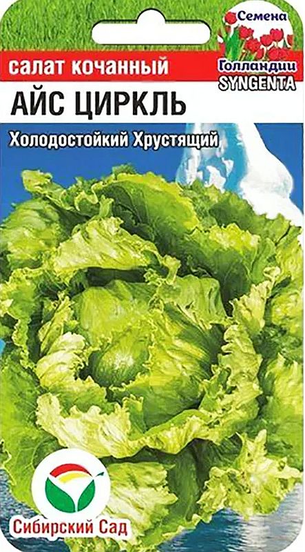 

салат кочанный айс циркль семена, салат кочанный айс циркль семена купить