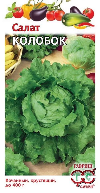 

салат кочанный колобок семена, салат кочанный колобок семена купить