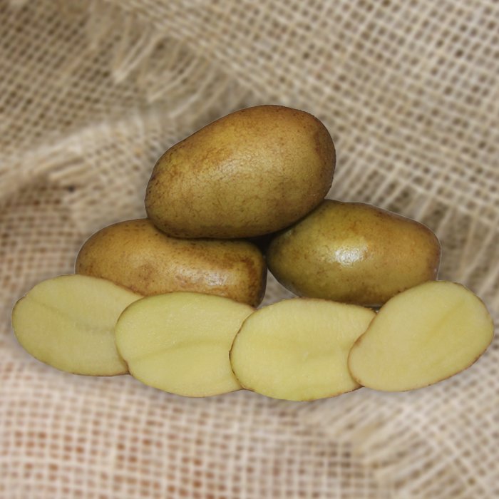 Картофель Кадриль