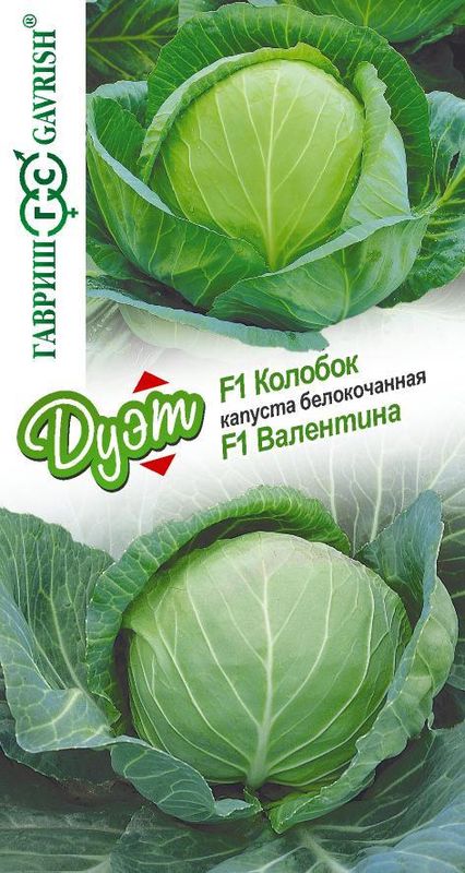 

капуста б/к валентина f1 + колобок f1 серия дуэт семена, капуста б/к валентина f1 + колобок f1 серия дуэт семена купить