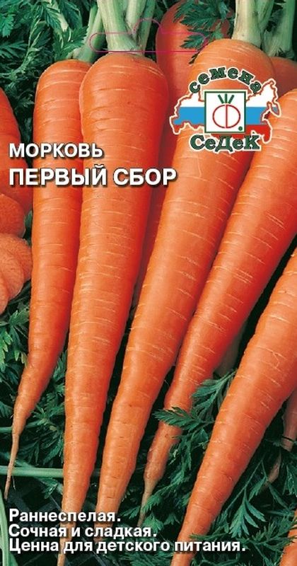 

морковь первый сбор семена, морковь первый сбор семена купить
