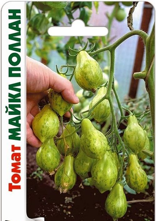 

томат майкл поллан семена, томат майкл поллан семена купить