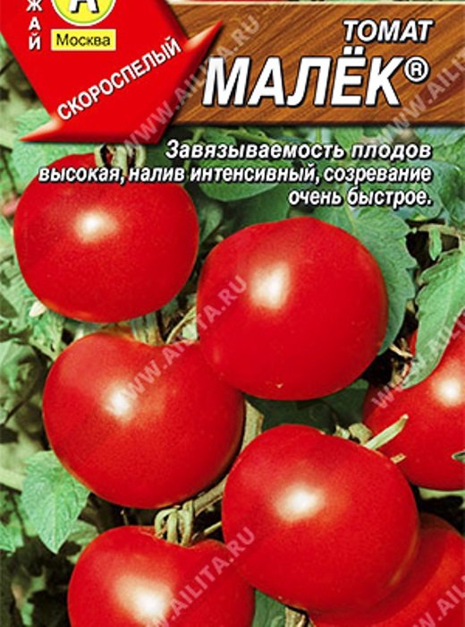 

томат малек ® семена, томат малек ® семена купить