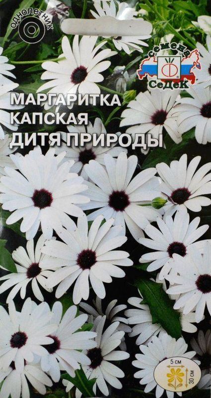 

маргаритка дитя природы семена, маргаритка дитя природы семена купить