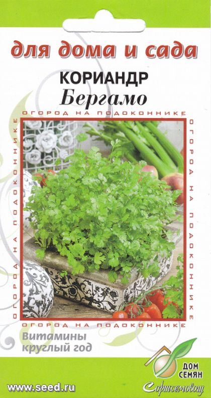 

кориандр бергамо семена, кориандр бергамо семена купить