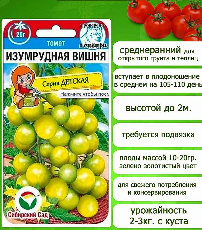 

томат изумрудная вишня семена, томат изумрудная вишня семена купить