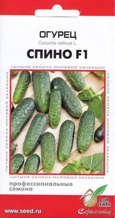 Огурец Спино  F1