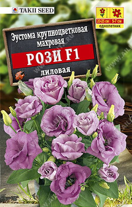 

эустома рози f1 лиловая крупноцветковая махровая семена, эустома рози f1 лиловая крупноцветковая махровая семена купить