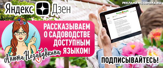 Интернет-магазин семян и саженцев «Русский Огород». Огромный каталог.