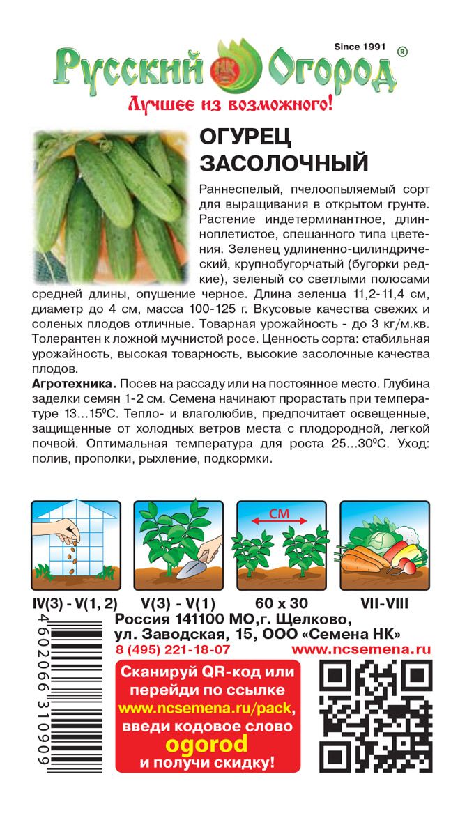 сорт огурцов засолочный описание
