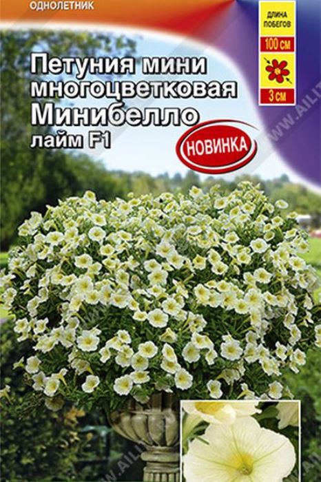

петуния мини минибелло лайм f1 многоцветковая® семена, петуния мини минибелло лайм f1 многоцветковая® семена купить