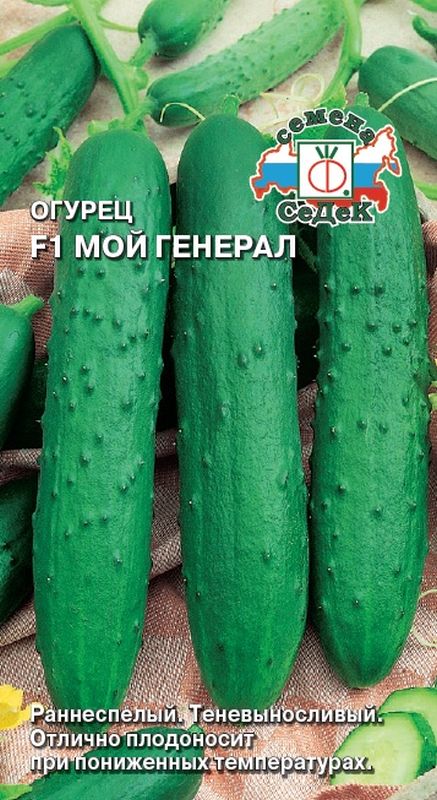 

огурец мой генерал f1 семена, огурец мой генерал f1 семена купить