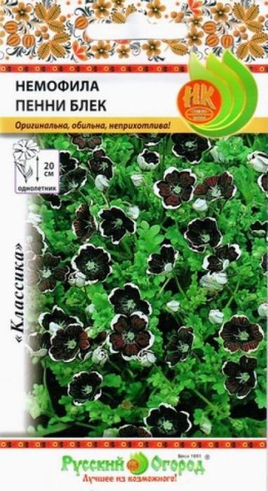 

немофила пенни блек семена, немофила пенни блек семена купить