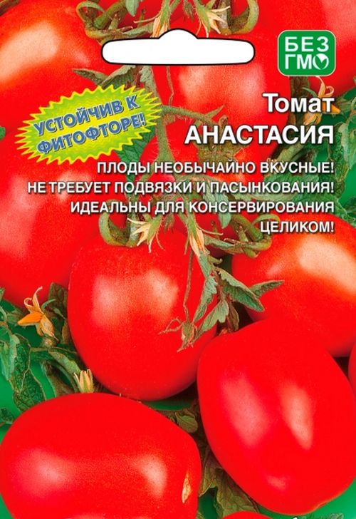 Помидоры Настенька Отзывы Фото