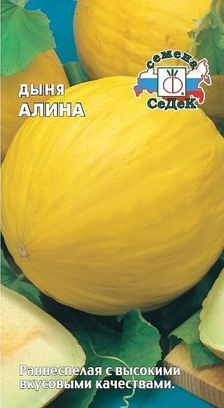 

дыня алина семена, дыня алина семена купить