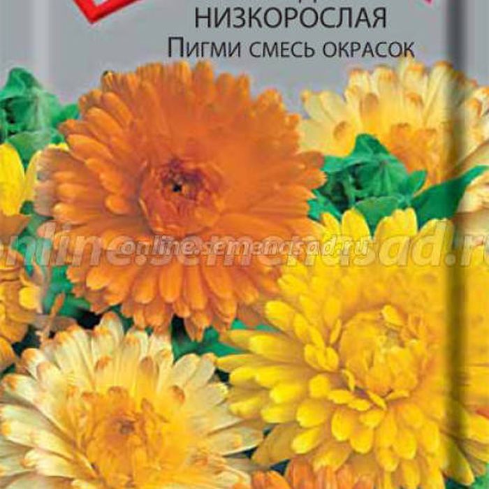 Календула низкорослая Пигми смесь окрасок 