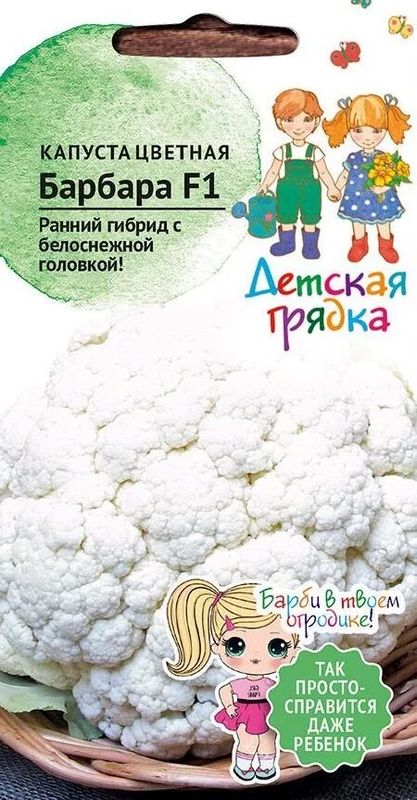 

капуста цветная барбара семена, капуста цветная барбара семена купить