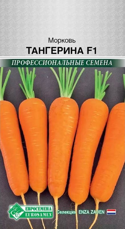 

морковь тангерина f1 семена, морковь тангерина f1 семена купить